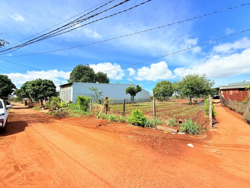 Bán đất hẻm 89 Lý Nam Đế, phường Hội Phú, Gia Lai
