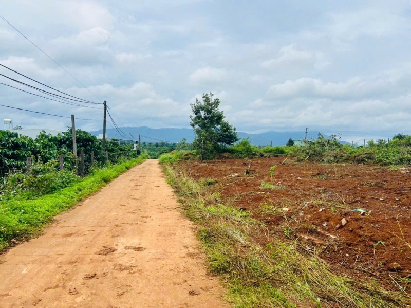 Bán đất hẻm chính 412 Trường Sơn Gia Lai